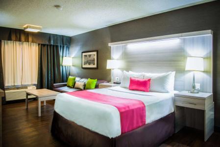 Best Western Plus Village Park Inn - 57
