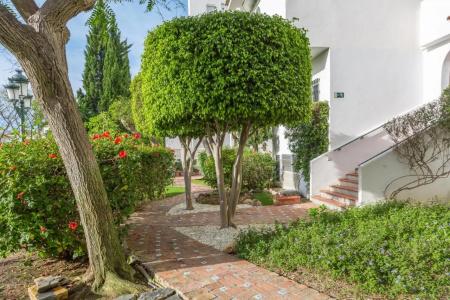 Royal Oasis Club at Pueblo Quinta By Diamond Resorts - 39