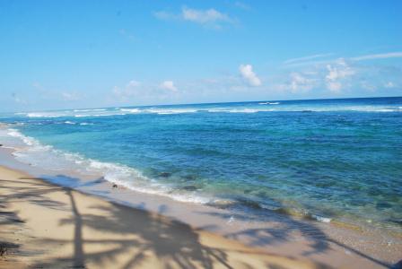 Vista Paradise Beach - 11