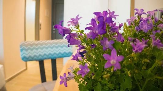 Costa Domus Blue Luxury - 134