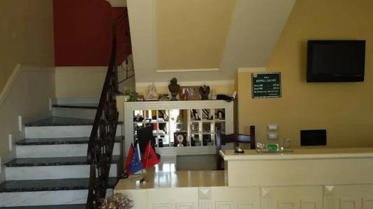 Le Olive - 1