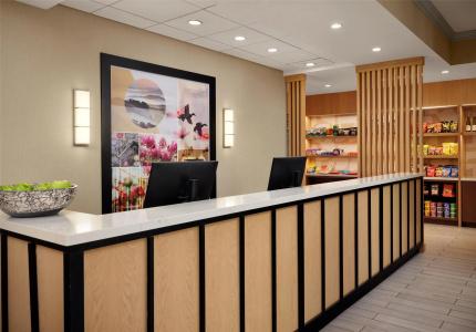 Sonesta ES Suites Chicago Downtown Magnificent Mile - 12