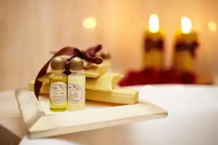 Grodzki Business & Spa - 40