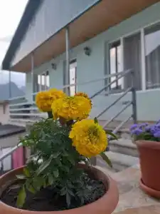 Kera Guest House - 18