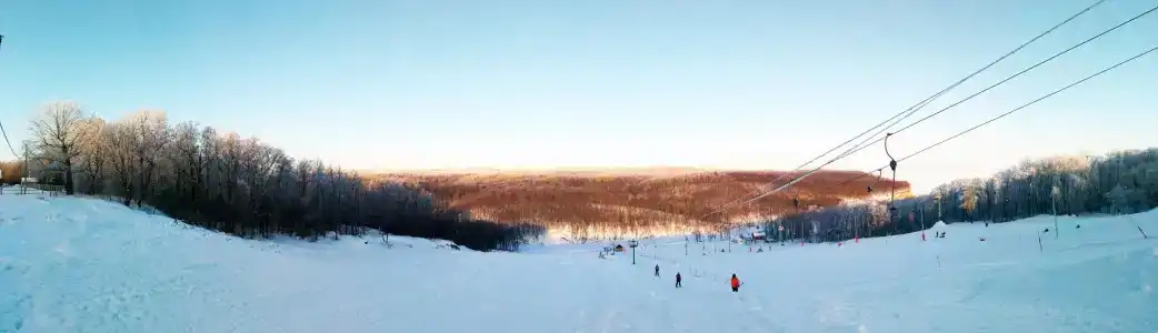 Чайка - 10