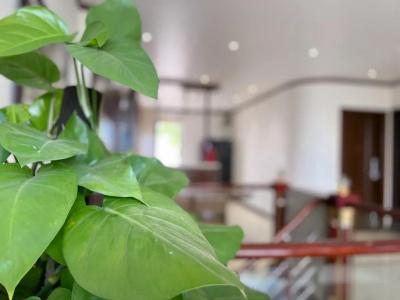 Elysinam Boutique Ha Long - 77