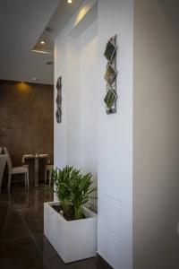 The Pearl - 10