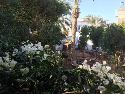 Sunrise Dahab Camp - 8