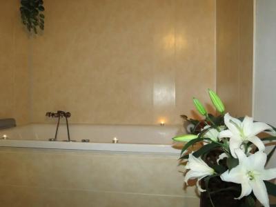 Guest House Mountain Romance & Free Sauna and Steam Bath - 36