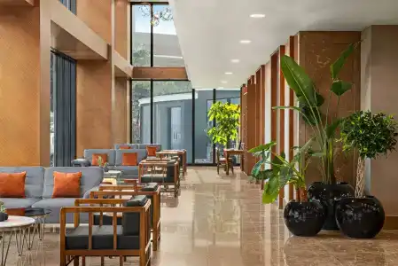 Serra Samsun Otel - 8