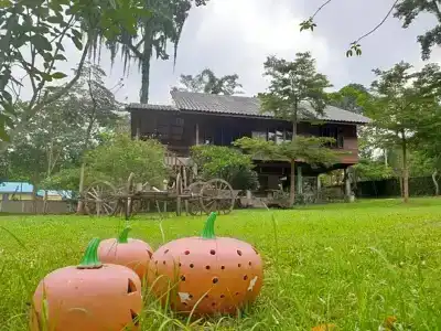 Chiang Dao Hut - 82