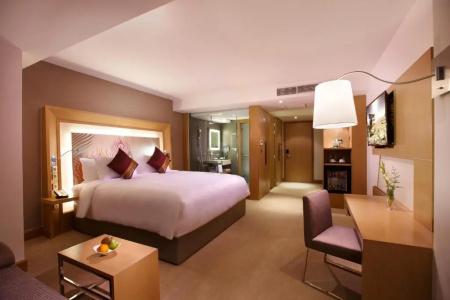 Novotel Yangon Max - 95