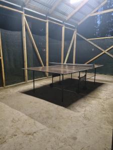 BlackFox - 8