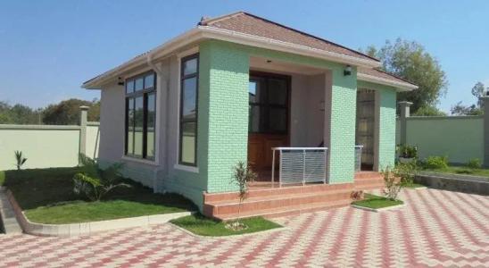 Samanene - 1