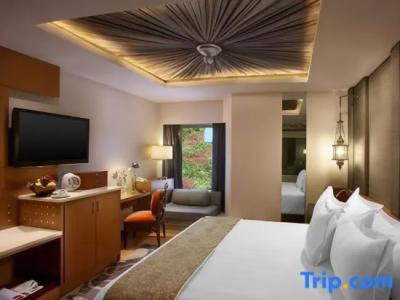 Itc Mughal, a Luxury Collection & Spa, - 46