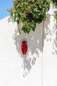 hôTel Les Volets Rouges - Cassis - 110