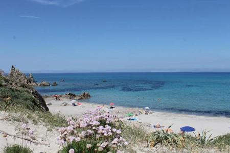 Club Ragno D'oro - 6