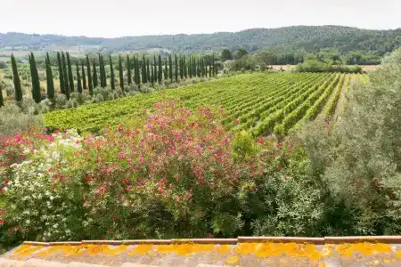 Relais La Pieve Vecchia - 58