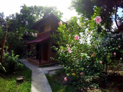 Khao Sok Morning Mist Resort - 51