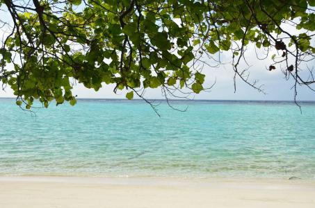 Dive Villa Thoddoo - 16