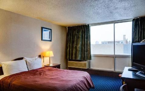University and Suites - 5