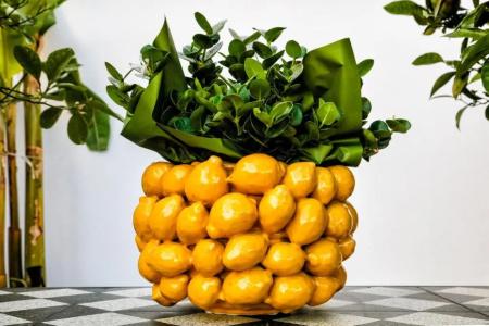 Manzoni 46 - Ospitalità siciliana - 53