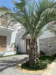 The Well Parga - 113