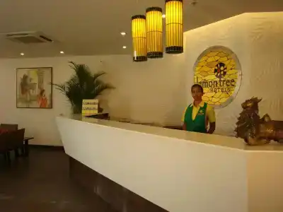 Lemon Tree Electronics City - 1
