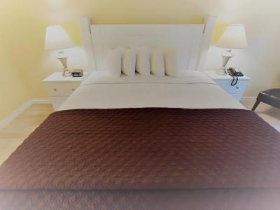 Hollywood Celebrity - 12