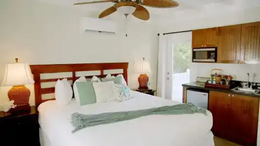Coconut Palm Inn - 57