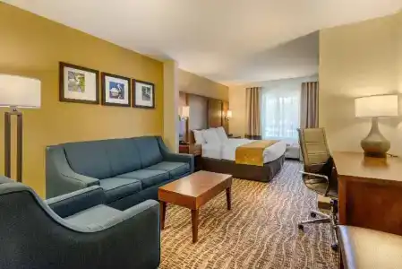 Comfort Suites - 21