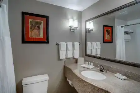 Hilton Garden Inn - 7