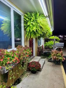 Homestead - 41