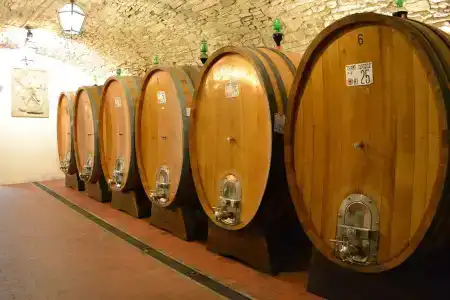Castello Vicchiomaggio - 9