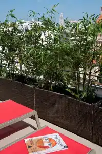 Gray Boutique Casablanca - 22