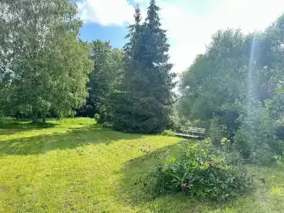 Медведь - 17