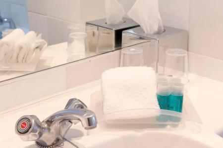 Holiday Inn Edinburgh Zoo, An Ihg - 54