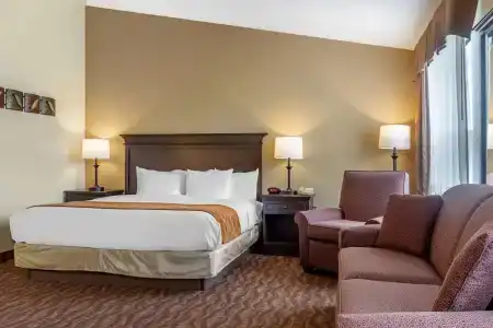 Comfort Inn at Thousand Hills - 66