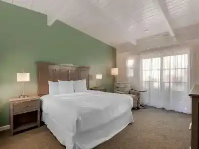Best Western Plus - 101