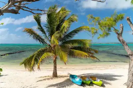 Koki Bonheur Beachfront By StayMauritius - 35