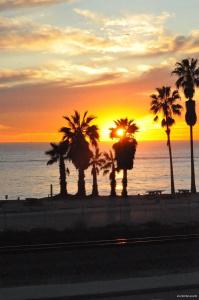 Best Western Plus Inn-by-the-Sea - 16