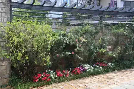 Hoang Loc Villa - 3