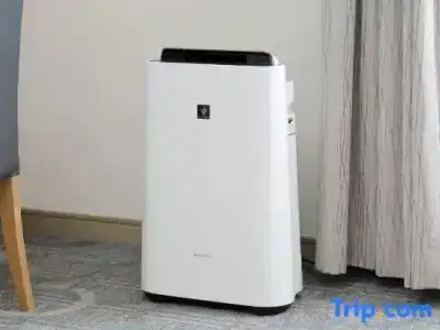 Sapporo Excel Tokyu - 52
