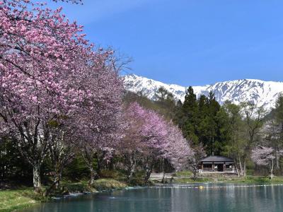 La Neige Higashi-kan - 18