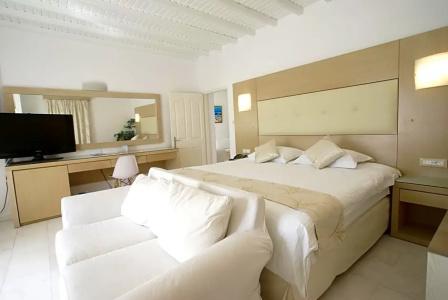 Dionysos Luxury Mykonos - 109