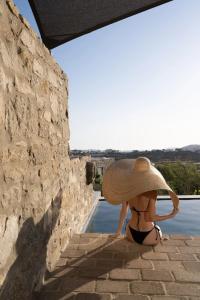 Ikies of Mykonos - 60