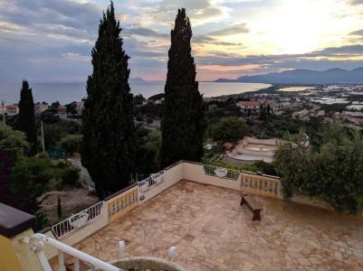 Belvedere - 31