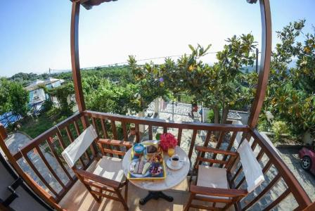 Seralis Pelion - 40