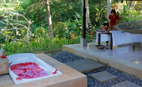Bhanuswari Resort & Spa - 27