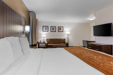 Comfort Suites At Sabino Canyon - 74